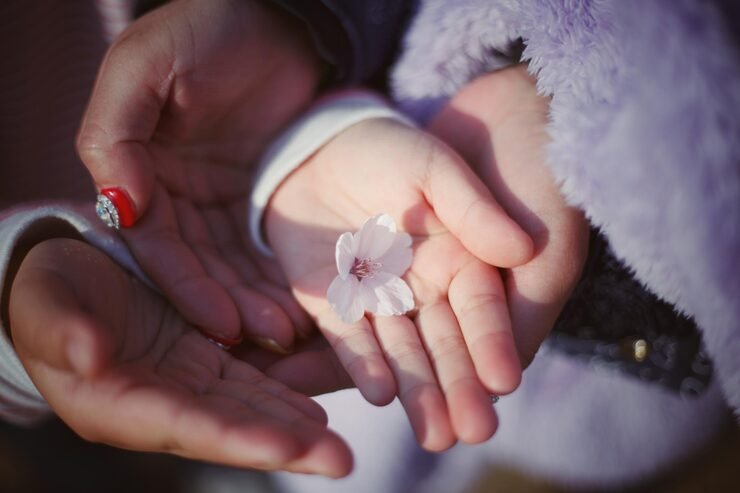 close-up-hands-holding-white-flower_1048944-4335407